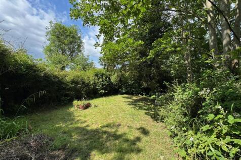 Garden 6.jpg