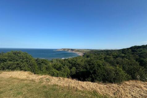 View.jpg