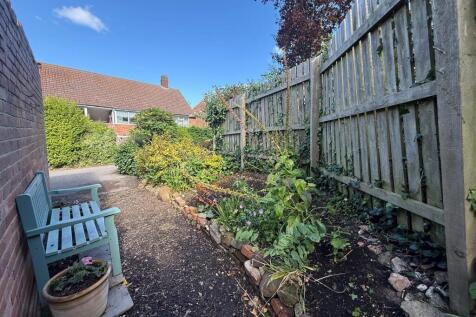 garden 2.jpg