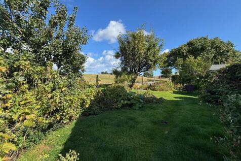 Garden 2.jpg