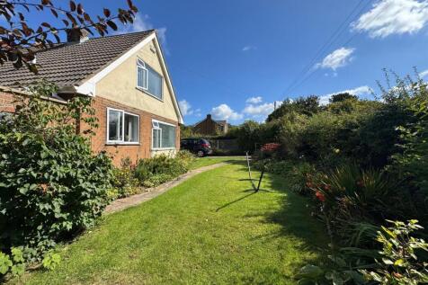 Front garden 3.jpg