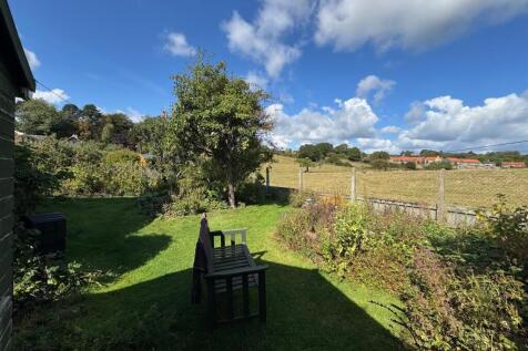 Garden 3.jpg