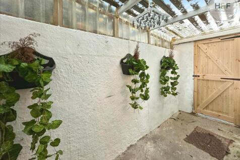 Rear Yard