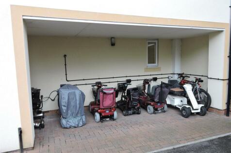 Buggy Store.JPG