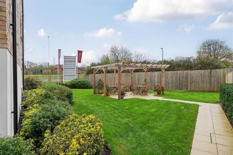 Back garden New.jpg