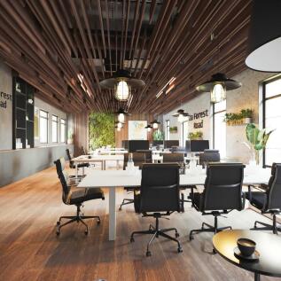 Modern Open Plan