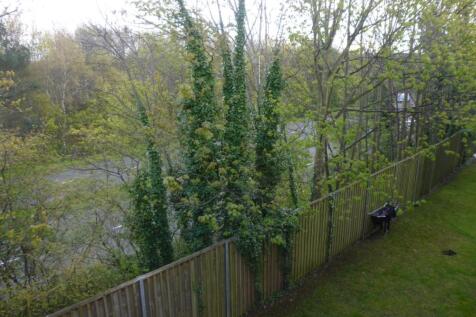 Rear Grounds