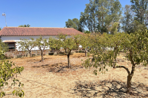 Property Image 39
