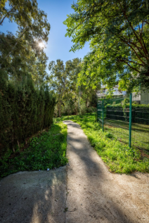Property Image 35