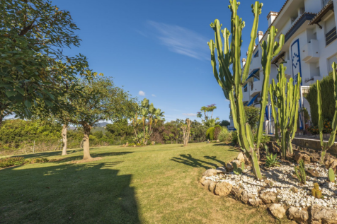Property Image 32