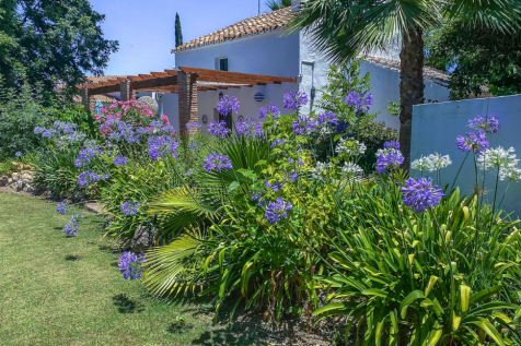Property Image 40