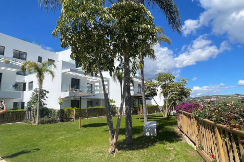 Property Image 43