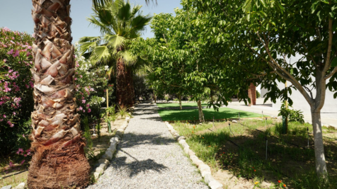 Property Image 11