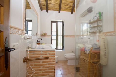 Property Image 43