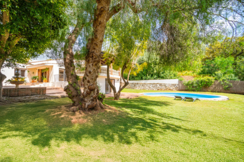 Property Image 42