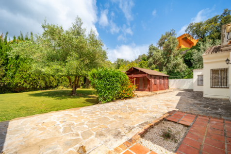 Property Image 49