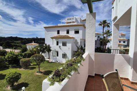 Property Image 14
