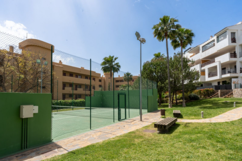Property Image 36