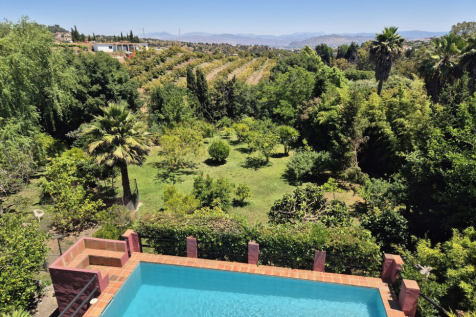 Property Image 43