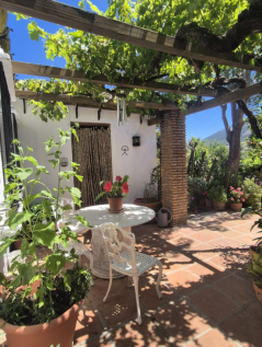 Property Image 49