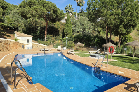 Property Image 35