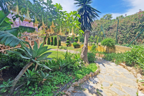 Property Image 35