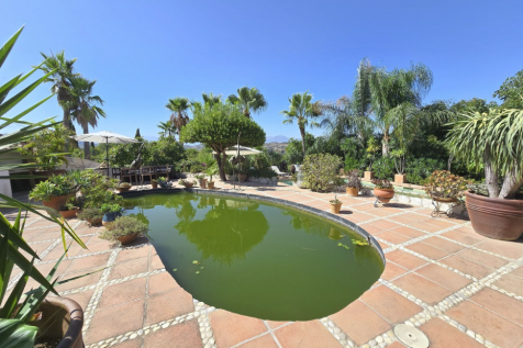 Property Image 39