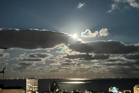 Night View 1.jpg