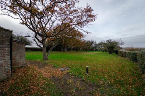 20251111161938 - 2025-11-11_14-19-38 2 - Hill Cott