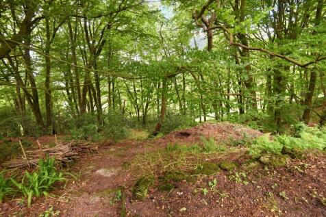 Woodland
