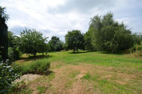 The Orchard