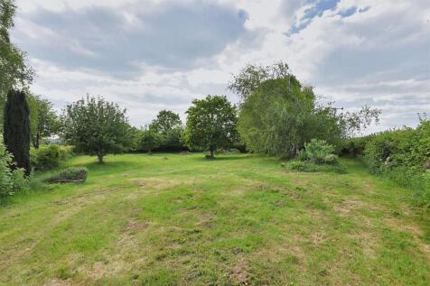 Orchard