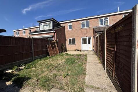 Back Garden
