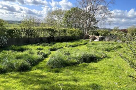 Wild Garden