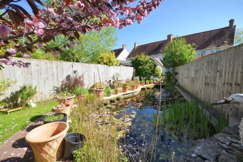 Pond