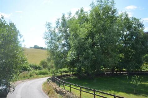 The Lane