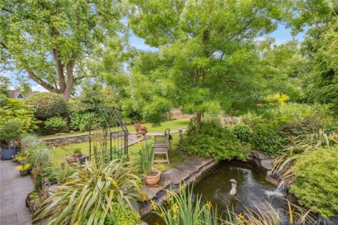 Pond and Garden
