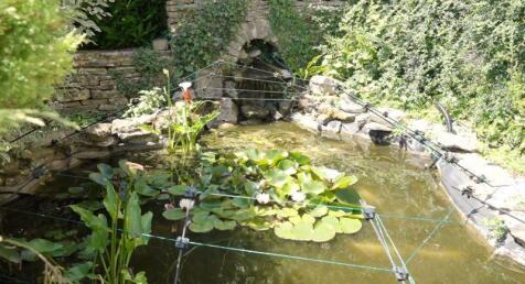 Photo 36