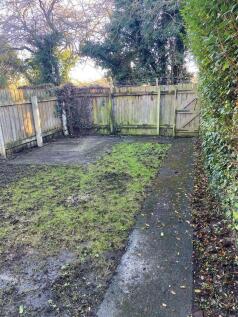 Back Garden 1.JPG