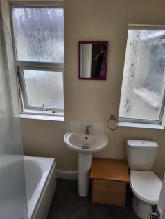 image3 (5).jpeg