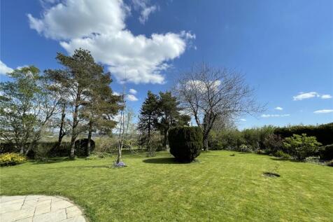 Garden 3