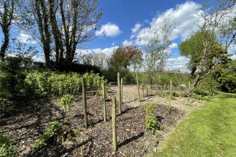 Vegetable Plots 2