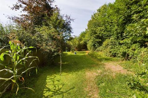 Rear Garden (2)