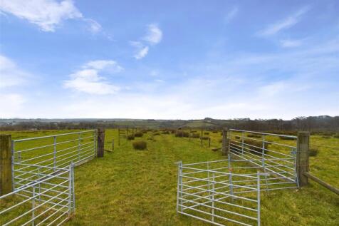 Field