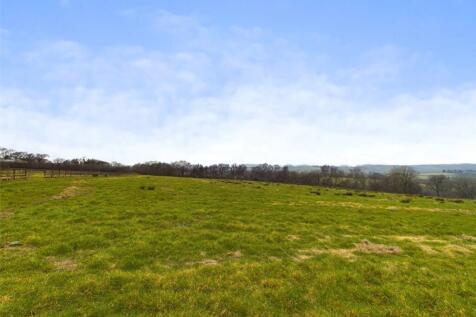 Feild