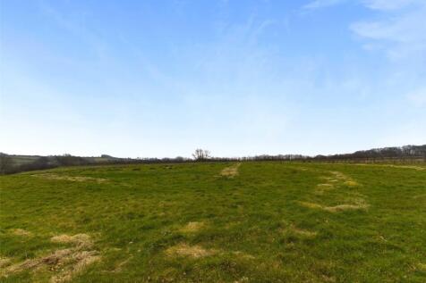 Feild