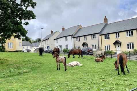 Local Neighbours