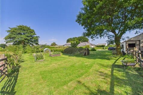 Vegetable Garden