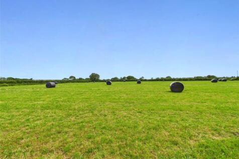 Field