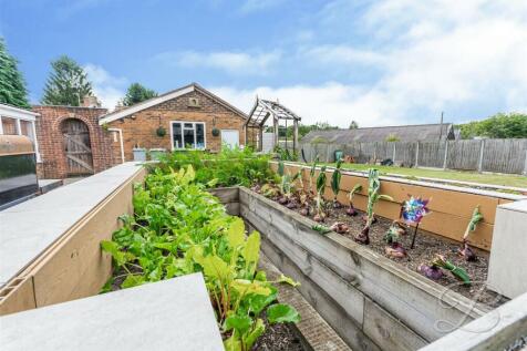 Vegetable Patch
